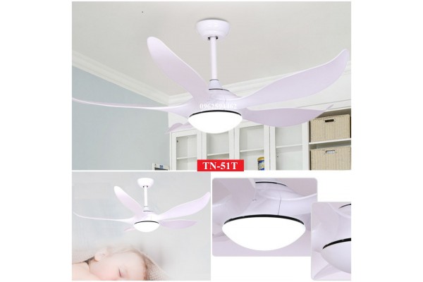 Quạt trần đèn  Daikii Fan TN-51T